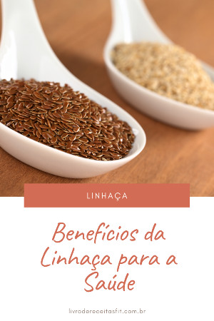 Read more about the article Benefícios da Linhaça para a Saúde