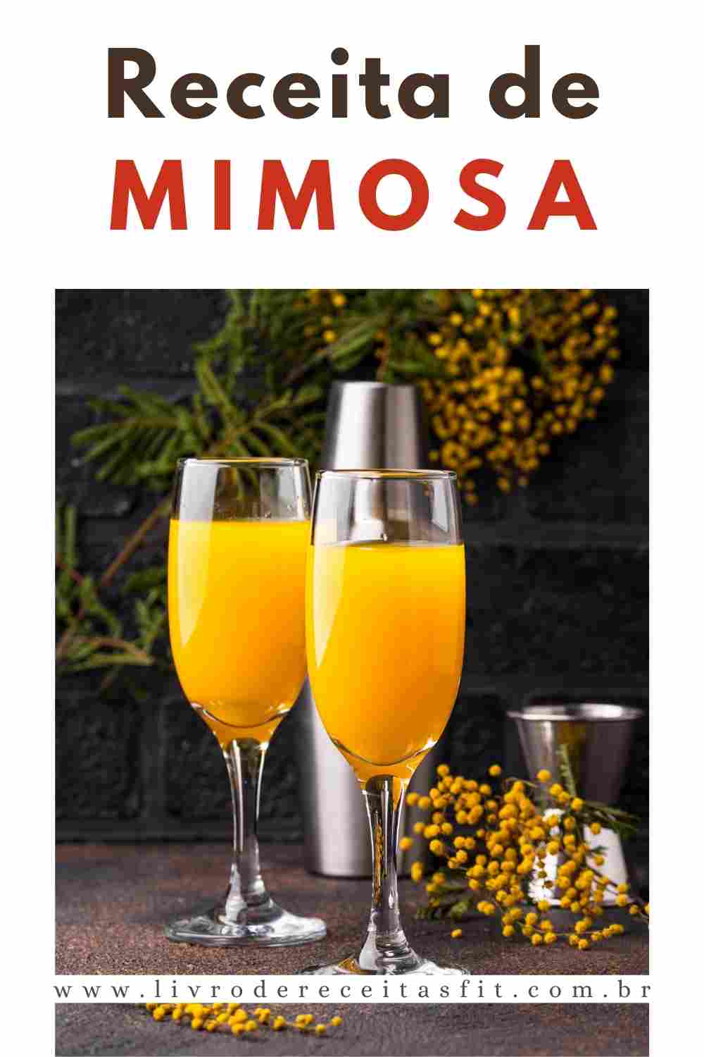 You are currently viewing Receita Simples de Mimosa