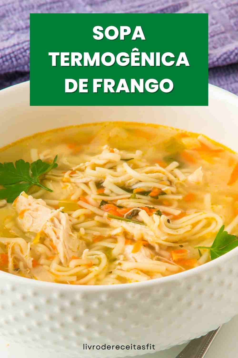 You are currently viewing Receita de Sopa Termogênica de Frango